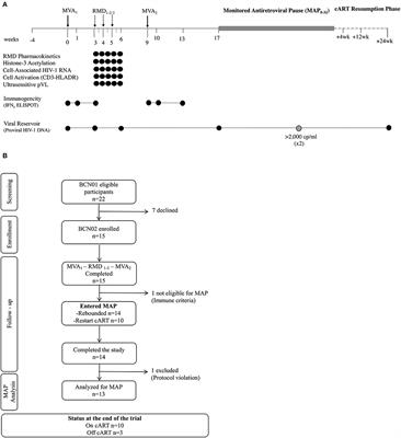 HIVconsv Vaccines and Romidepsin in Early-Treated HIV-1-Infected Individuals: Safety, Immunogenicity and Effect on the Viral Reservoir (Study BCN02)